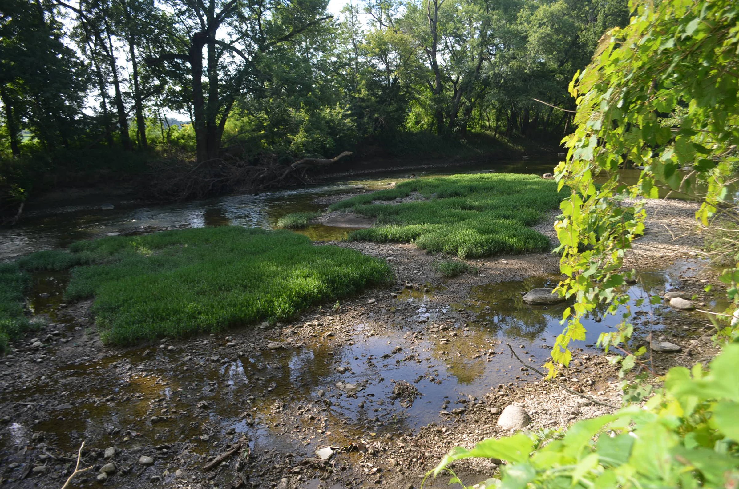Property photo 26 - REAL ESTATE AUCTION - 26+/- ACRES IN 3 TRACTS IN SOUTHWEST ALLEN COUNTY, INDIANA